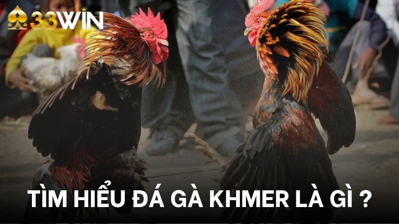 Đá gà Khmer vô cùng phổ biến mặc dù chỉ mới được đưa vào danh sách trò chơi của 33win